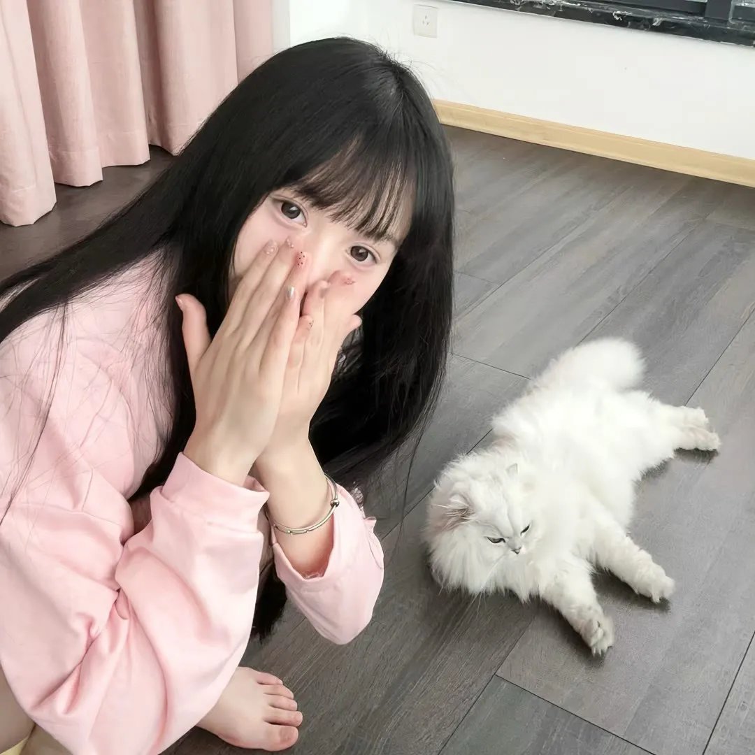 纽约客的故事