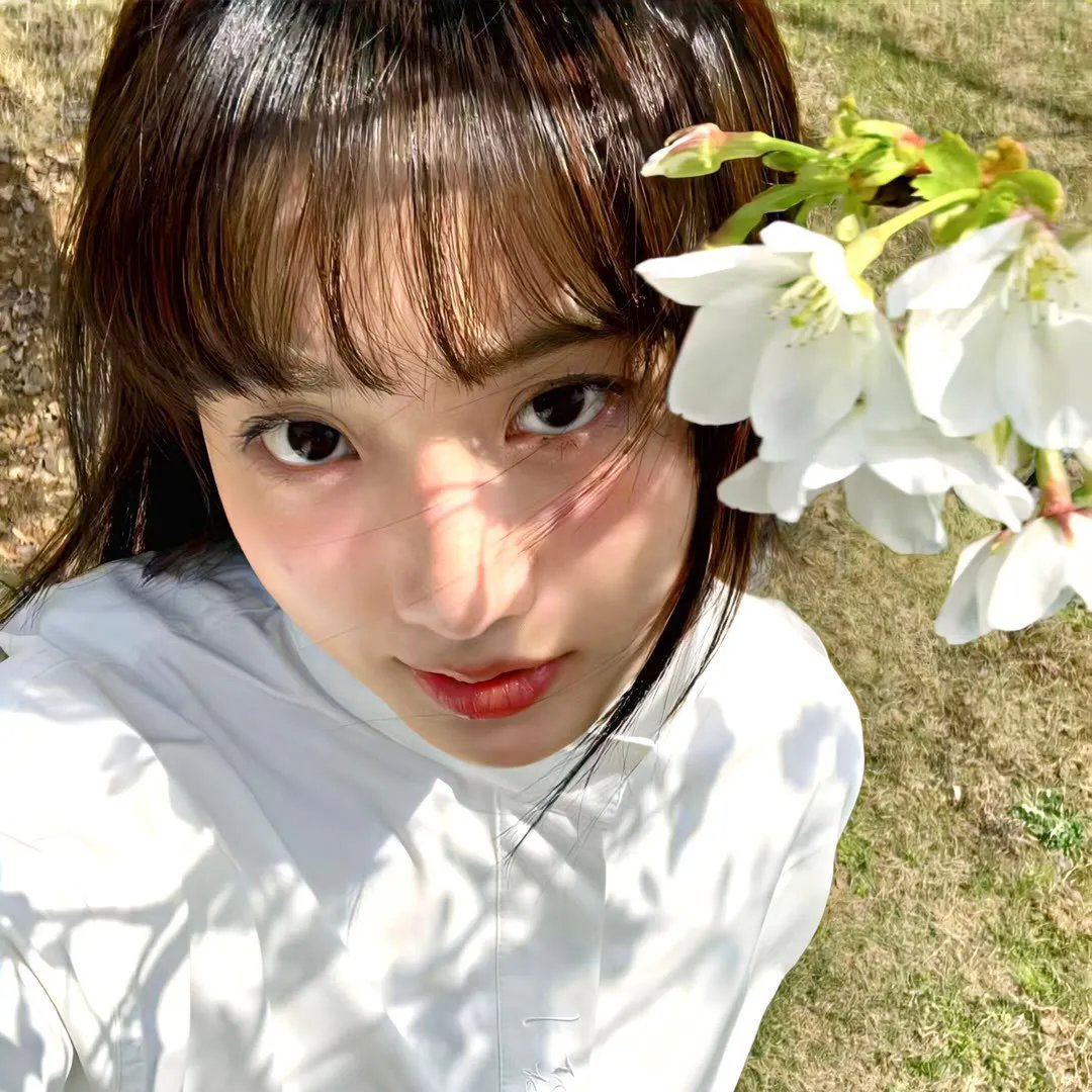 蜜月杀手